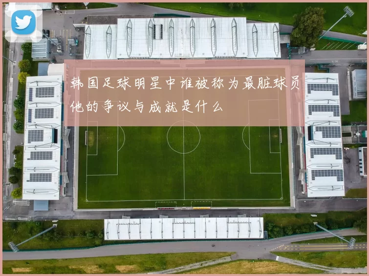 韩国足球明星中谁被称为最脏球员他的争议与成就是什么