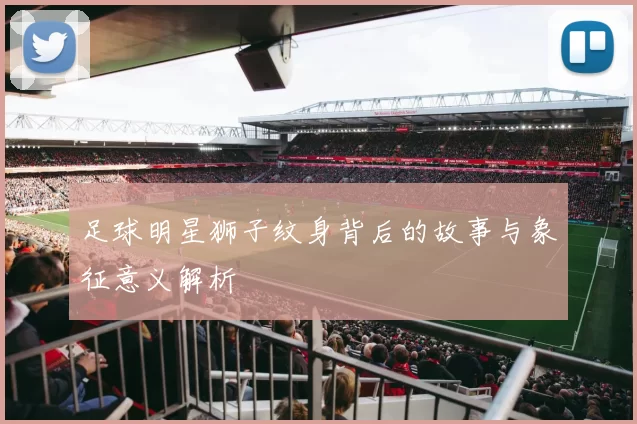 足球明星狮子纹身背后的故事与象征意义解析