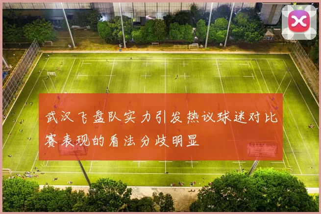 武汉飞盘队实力引发热议球迷对比赛表现的看法分歧明显