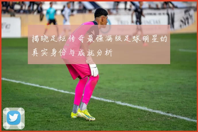 揭晓足坛传奇最强满级足球明星的真实身份与成就分析