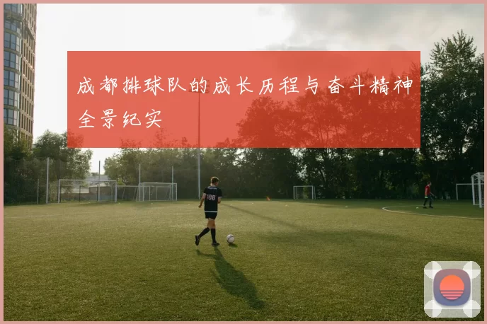 成都排球队的成长历程与奋斗精神全景纪实