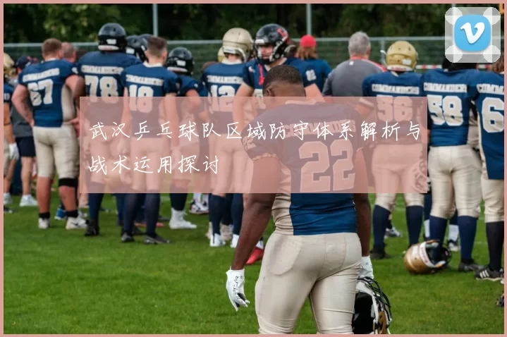 武汉乒乓球队区域防守体系解析与战术运用探讨