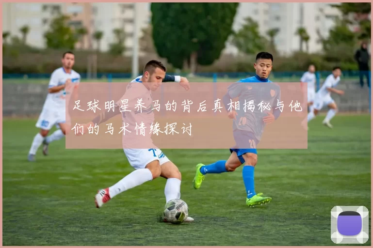 足球明星养马的背后真相揭秘与他们的马术情缘探讨