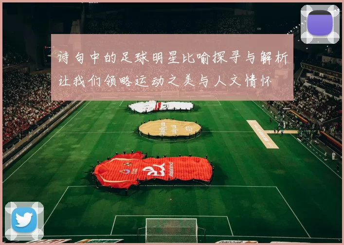 诗句中的足球明星比喻探寻与解析让我们领略运动之美与人文情怀