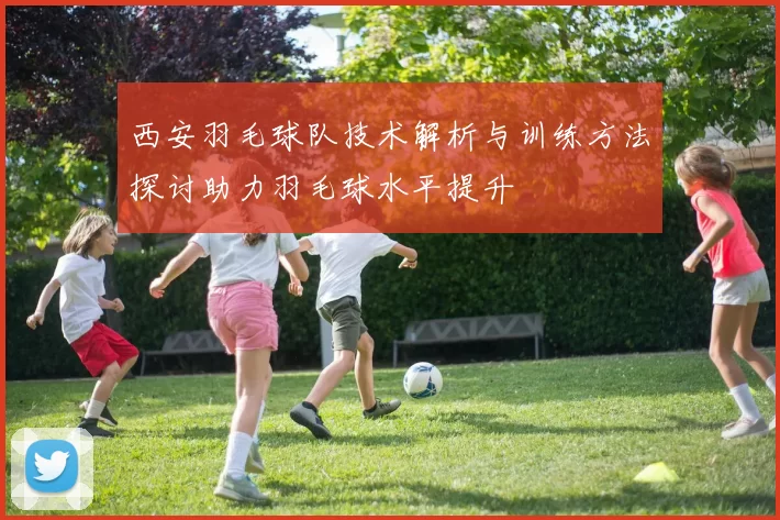 西安羽毛球队技术解析与训练方法探讨助力羽毛球水平提升