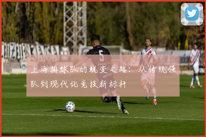 上海排球队的蜕变之路：从传统强队到现代化竞技新标杆