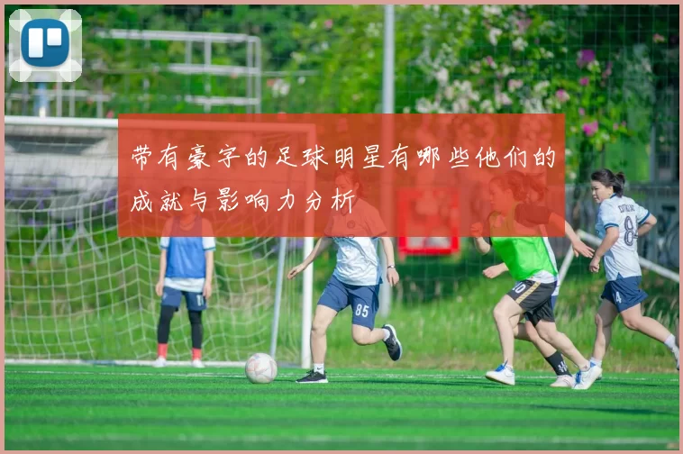 带有豪字的足球明星有哪些他们的成就与影响力分析