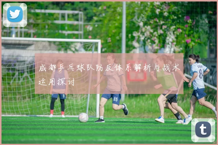 成都乒乓球队防反体系解析与战术运用探讨