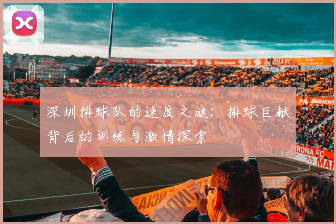 深圳排球队的速度之谜：排球巨献背后的训练与激情探索