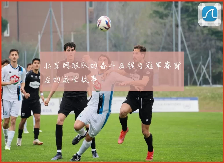 北京网球队的奋斗历程与冠军赛背后的成长故事