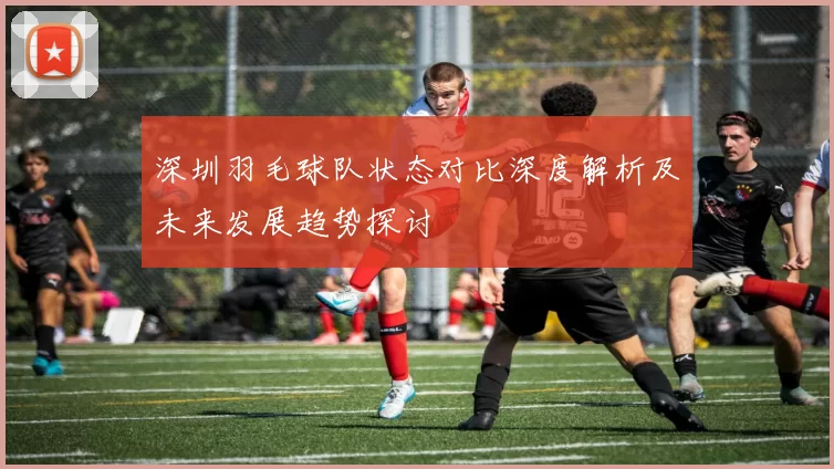 深圳羽毛球队状态对比深度解析及未来发展趋势探讨