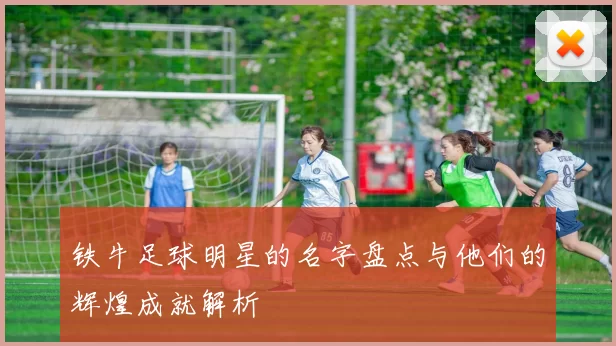 铁牛足球明星的名字盘点与他们的辉煌成就解析