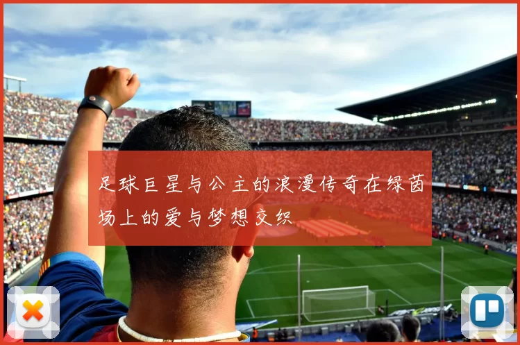 足球巨星与公主的浪漫传奇在绿茵场上的爱与梦想交织