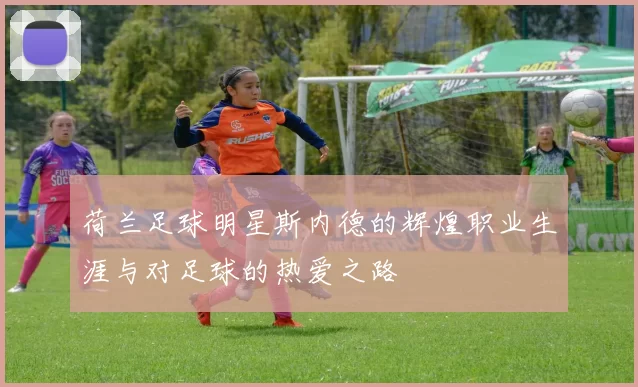 荷兰足球明星斯内德的辉煌职业生涯与对足球的热爱之路