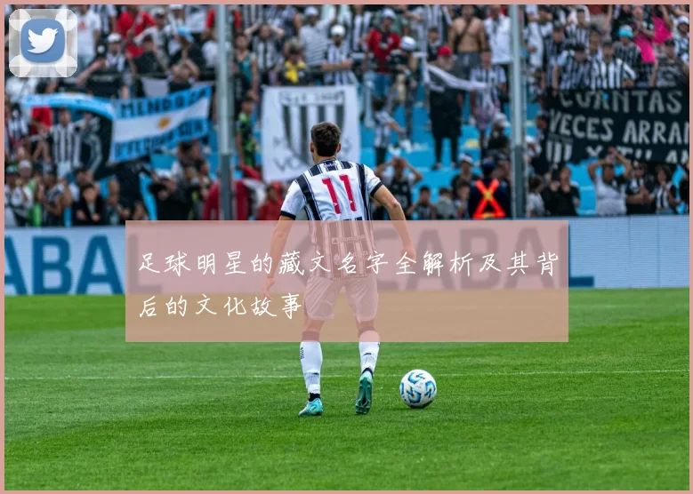 足球明星的藏文名字全解析及其背后的文化故事