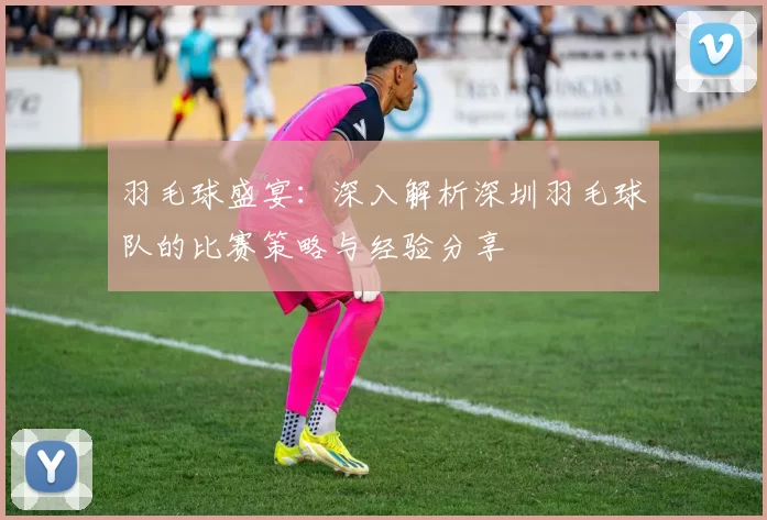 羽毛球盛宴：深入解析深圳羽毛球队的比赛策略与经验分享