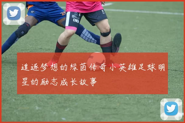 追逐梦想的绿茵传奇小英雄足球明星的励志成长故事