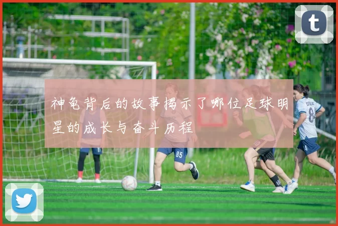 神龟背后的故事揭示了哪位足球明星的成长与奋斗历程