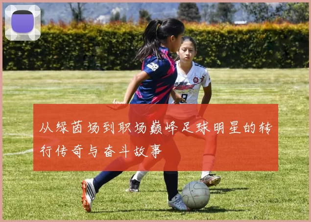从绿茵场到职场巅峰足球明星的转行传奇与奋斗故事
