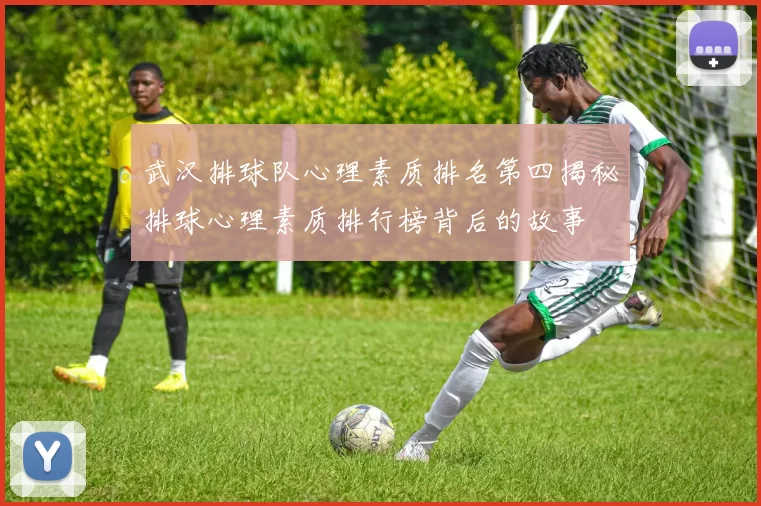 武汉排球队心理素质排名第四揭秘排球心理素质排行榜背后的故事