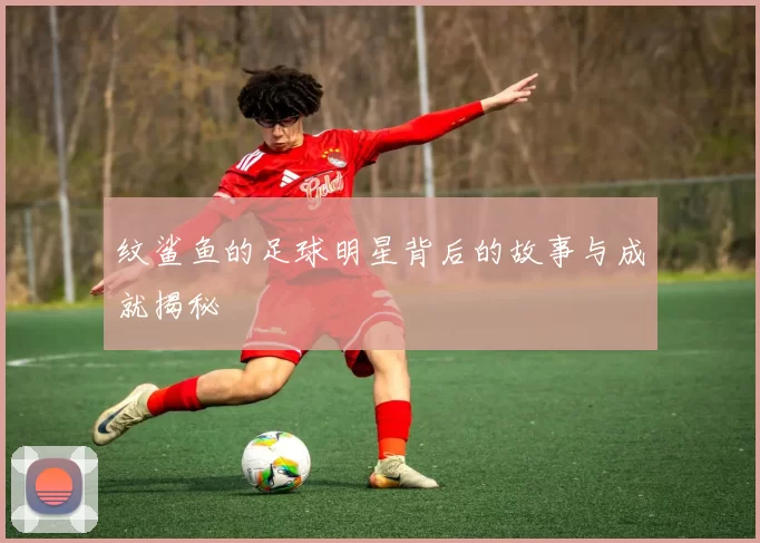 纹鲨鱼的足球明星背后的故事与成就揭秘